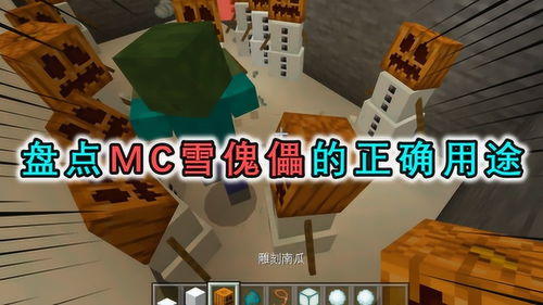 盘点MC的3个冷知识,猫也可以被驯服,最后1个骨灰级玩家都不知道 