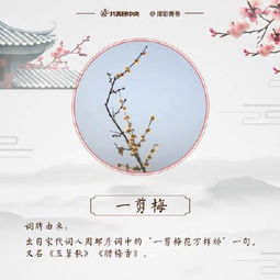 三字词牌,一阙美词,一支良曲,一种人生