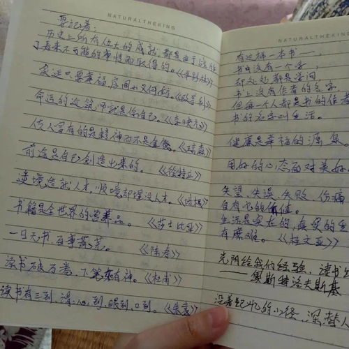 我偷看了奶奶的日记本