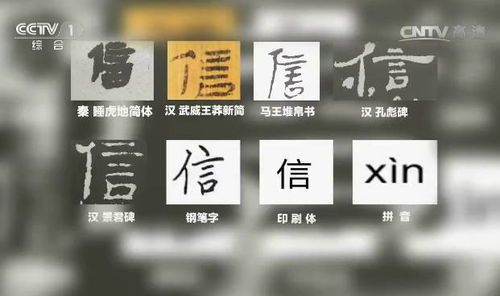 运动内衣高度支撑和中度支撑区别