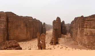 沙特旅游签证最新规定(沙特旅游签证最新规定要求)