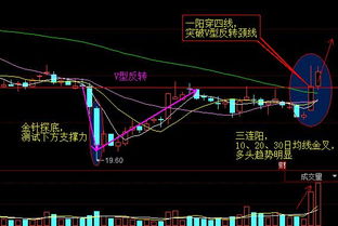 日均线v型反转后第二天怎么股价跌了