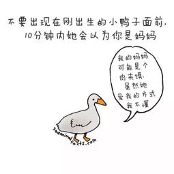 与生活有关的冷知识(生活冷知识配图)