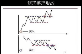 矩形形态是一种典型的什么形态？