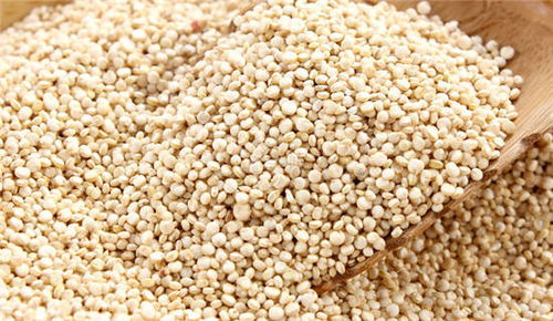 藜麦的营养价值 藜麦的功效与作用 
