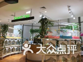 南京宠物店 南京宠物店宠物 