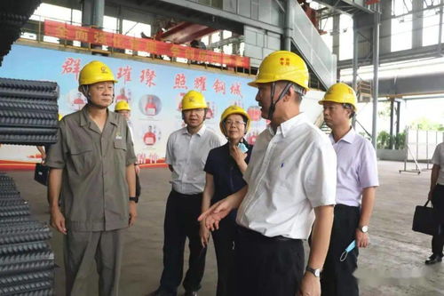 贵港市社会保险包括哪些内容 (贵港市灵活就业养老保险有多少档)