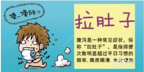 经常拉肚子是怎么回事