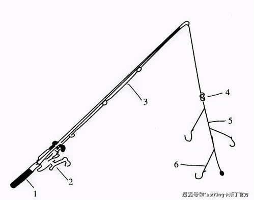海钓中,路亚水滴轮的详细介绍