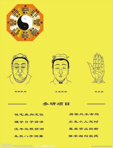 14种脸型图解 看相