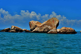 海南特色风景 (海南特色风景国画)