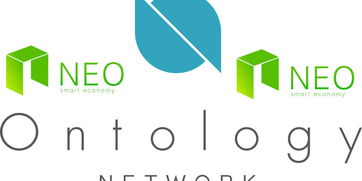 达鸿飞与NEO：国产公链的崛起之路及双币模式解析