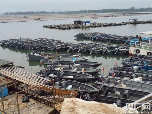 春节临近北部湾海域涉私案件多发 广西中越边境加大海上缉私力度查扣 飞艇