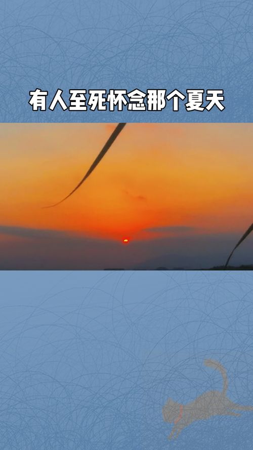 有人至死怀念18年那个夏天,那个夏天有白羊 走马 往后余生 