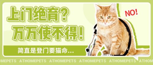 上门绝育 上门打疫苗 我看是登门要猫命