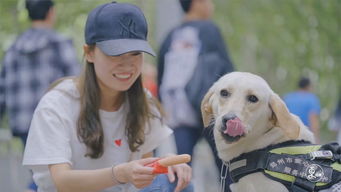 河南女子自费百万无偿为盲人训练导盲犬 