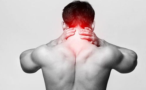 背痛的原因有哪些 引起背痛的原因有哪些