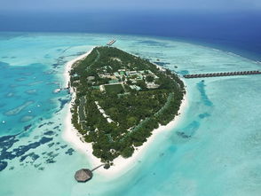 马尔代夫蜜月岛浪漫之旅的终点