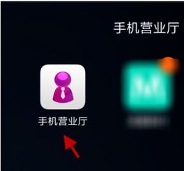 为什么无法取消自动续订服务？