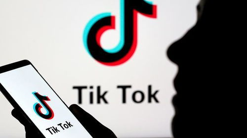 tiktok tok国际版下载_TikTok怎么充值币的