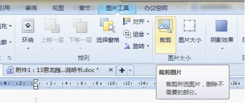 如何利用WPS制作局部放大图片 谢谢各位 