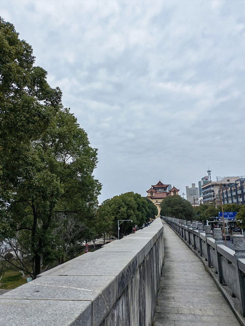 常德一日游柳叶湖 大小河街 老西门 