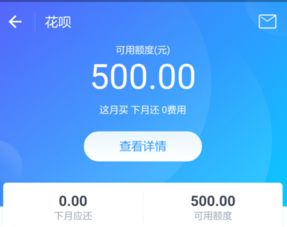 为什么花呗不能连续支付口碑商家大额资金 