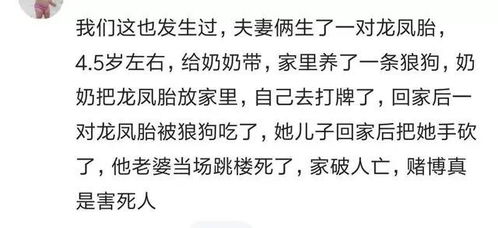 麻将到底有啥好玩的 你见过哪些因为痴迷麻将而把日子过稀碎的人 