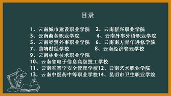 初中生可以读哪些 五年一贯制大专 学校