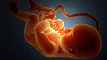 原创怀孕后，准妈妈出现这几种现象，说明胎儿到了快速生长期