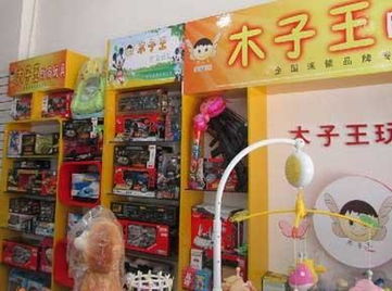 木子王玩具公司简介 木子王玩具公司小本创业介绍 招商创业项目网 