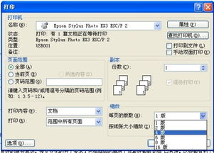 如何用WORD2000来把一张电脑小报的中间分开做成一个中缝?