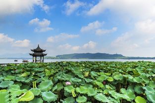 诗画忆江南 江南文化研学旅行地点简介 淘行知研学