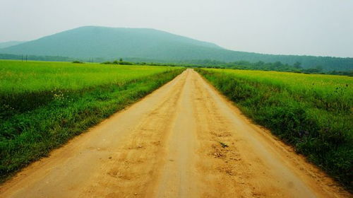 走了几百年的土路突然大变样,到底是谁干的