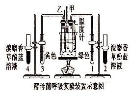 有氧呼吸无氧呼吸关于二氧化碳和氧气的计算