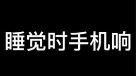 你们枪毙不了我的爱国心怎样理解这一句话