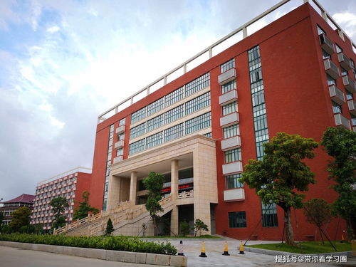 大学毕业生档案里有什么