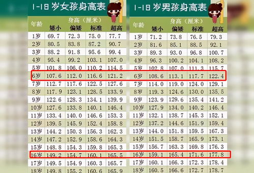 新版 儿童身高标准 出炉,6岁前男女差距不大,16岁差距10厘米