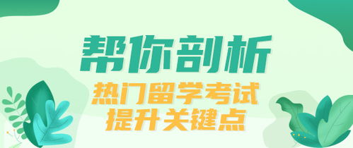 移民美国雅思托福哪个更值得考(托福和雅思哪个对就业更有帮助)