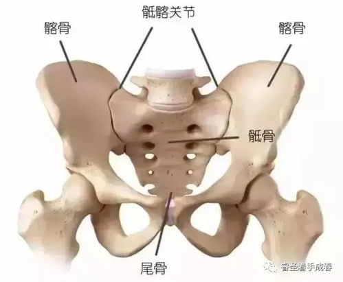 产后骨盆修复真相大揭秘