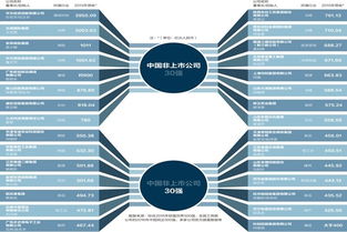 中国所有的上市公司，哪里找