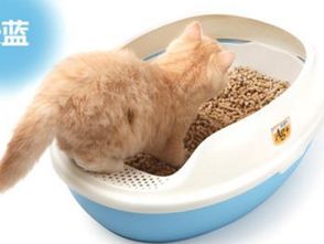 双层的猫砂盆用什么猫砂,双层猫砂盆用哪种猫砂 