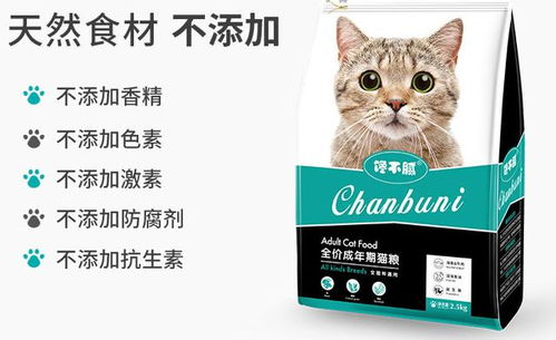 暹罗猫吃什么牌子的猫粮好 10大品牌推荐