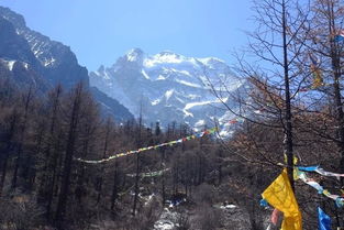 走进梦境中的世外桃源 稻城亚丁,川西之路 川西游记 