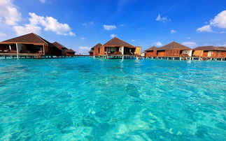 马尔代夫人岛攻略大全让你体验一次不一样的海岛之旅（马尔代夫人文）