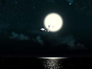 关于月亮和美丽的诗句