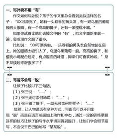 老师教给我知识作文