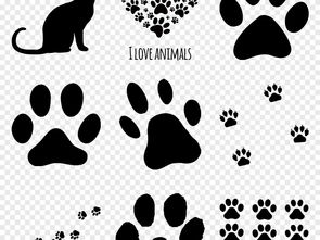 卡通手绘猫爪脚印图案动物宠物海报PNG设计素材图片 模板下载 4.75MB 居家物品大全 生活工作 