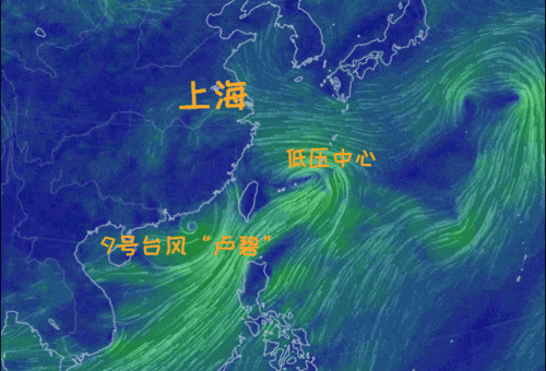 台风 卢碧 来了 已影响浙江 名字含义居然是 上海周末会大风大雨吗
