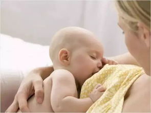 宝宝一岁前,母乳及辅食喂养要点详解